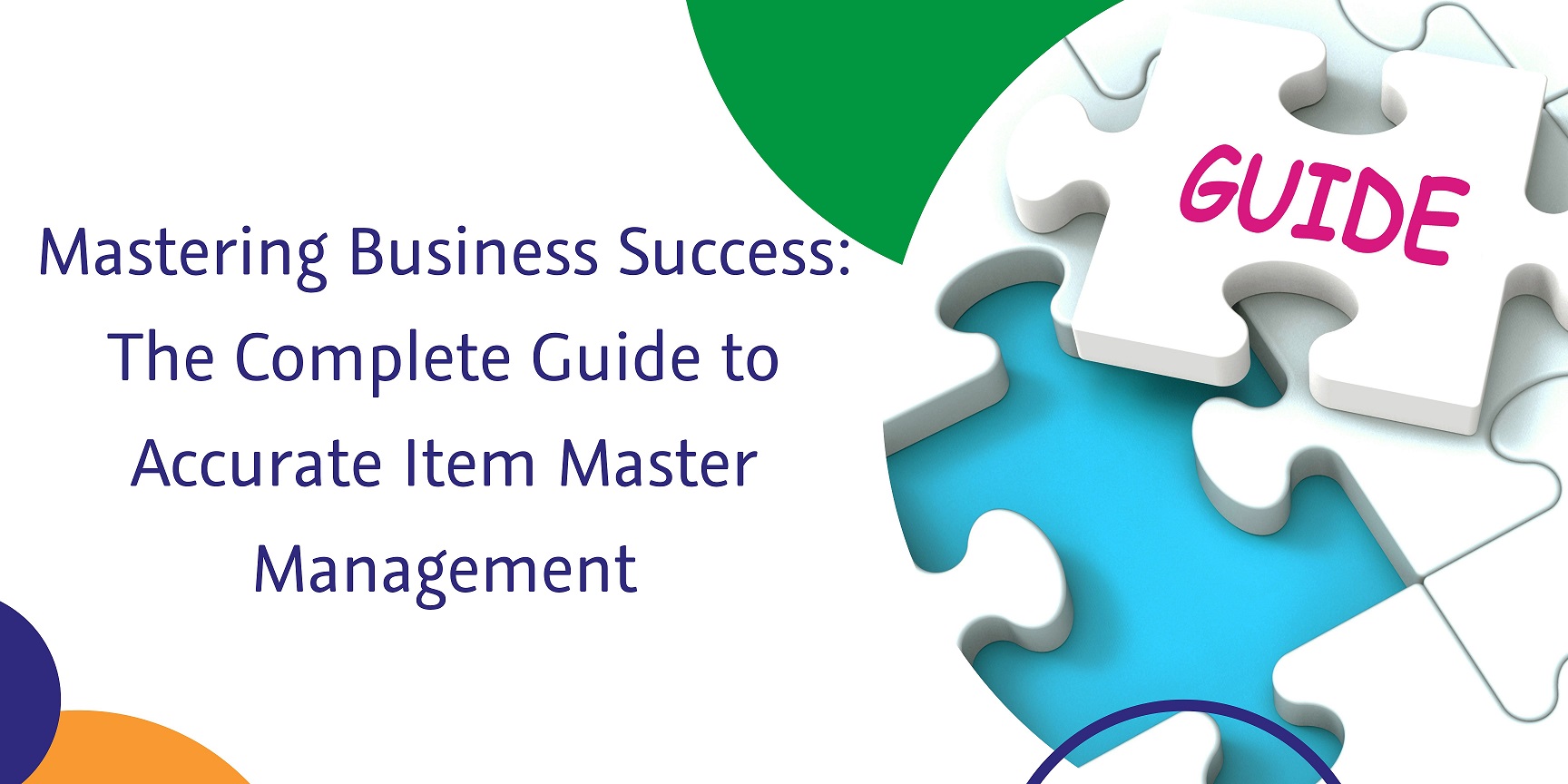 captainbiz mastering business success the complete guide to accurate item master management
