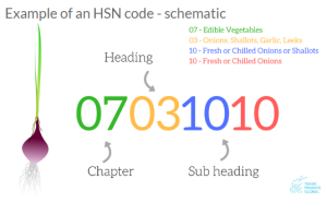 How HSN Codes Work in GST Explained | CaptainBiz
