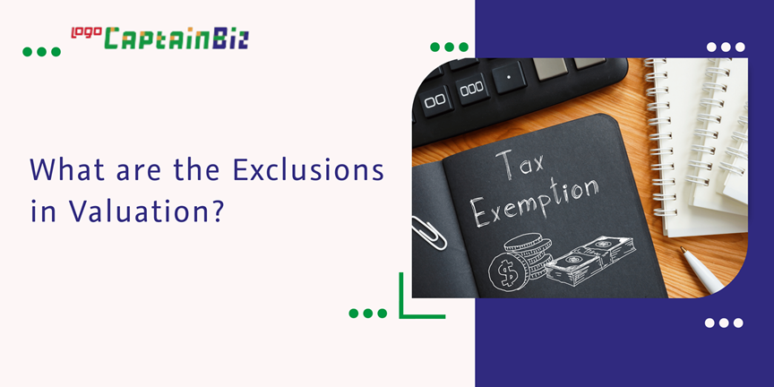 CaptainBiz: What are the Exclusions in Valuation?