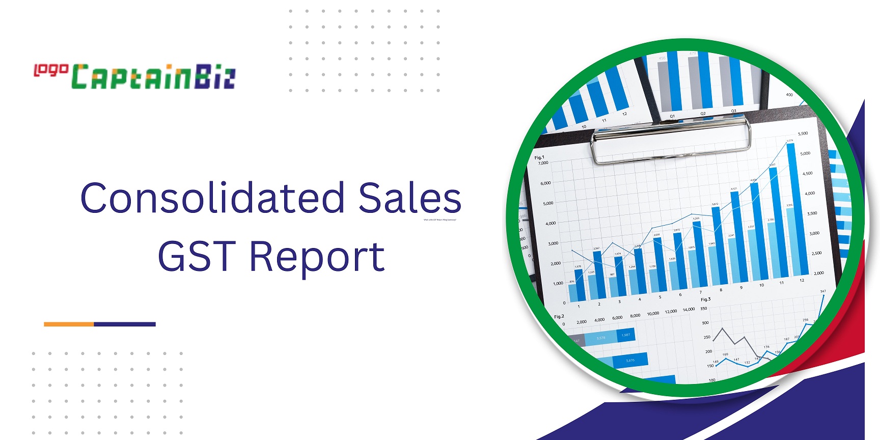CaptainBiz: consolidated sales gst report