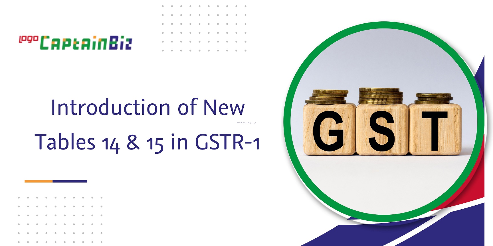 CaptainBiz: introduction of new tables 14 15 in gstr1