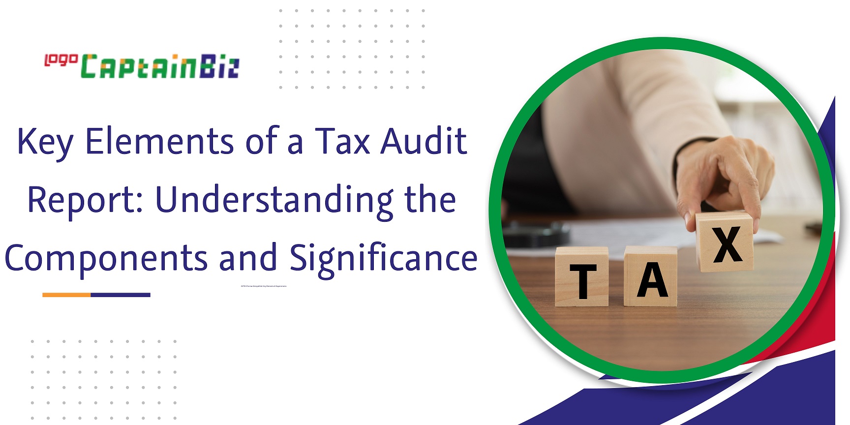 CaptainBiz: key elements of a tax audit report understanding the components and significance