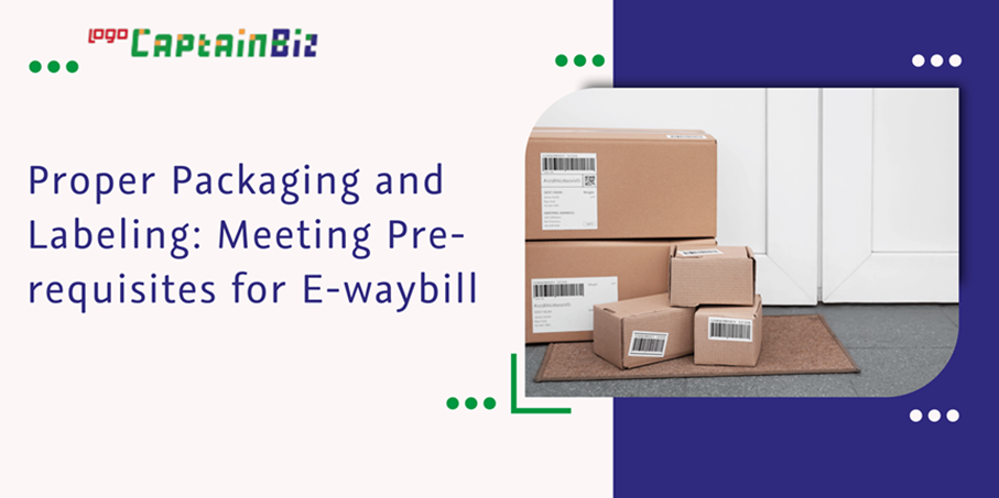 CaptainBiz: proper packaging and labeling: meeting pre-requisites for e-waybill