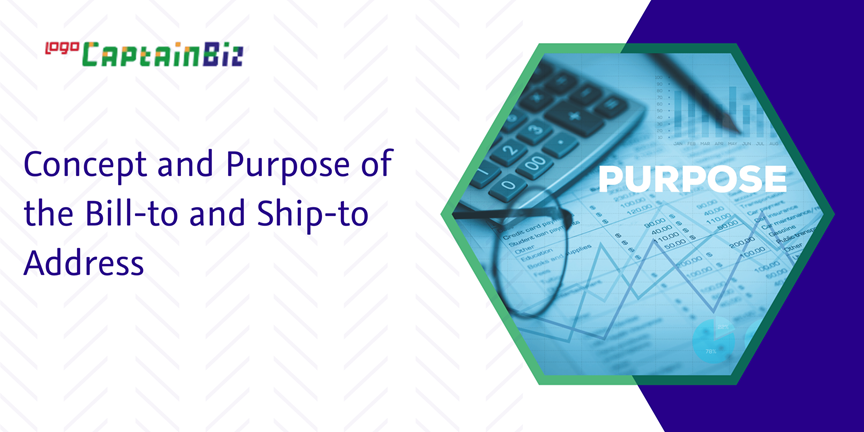 Read more about the article Concept and Purpose of the Bill-to and Ship-to Address