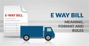 CaptainBiz: e-waybill meaning, format and rules