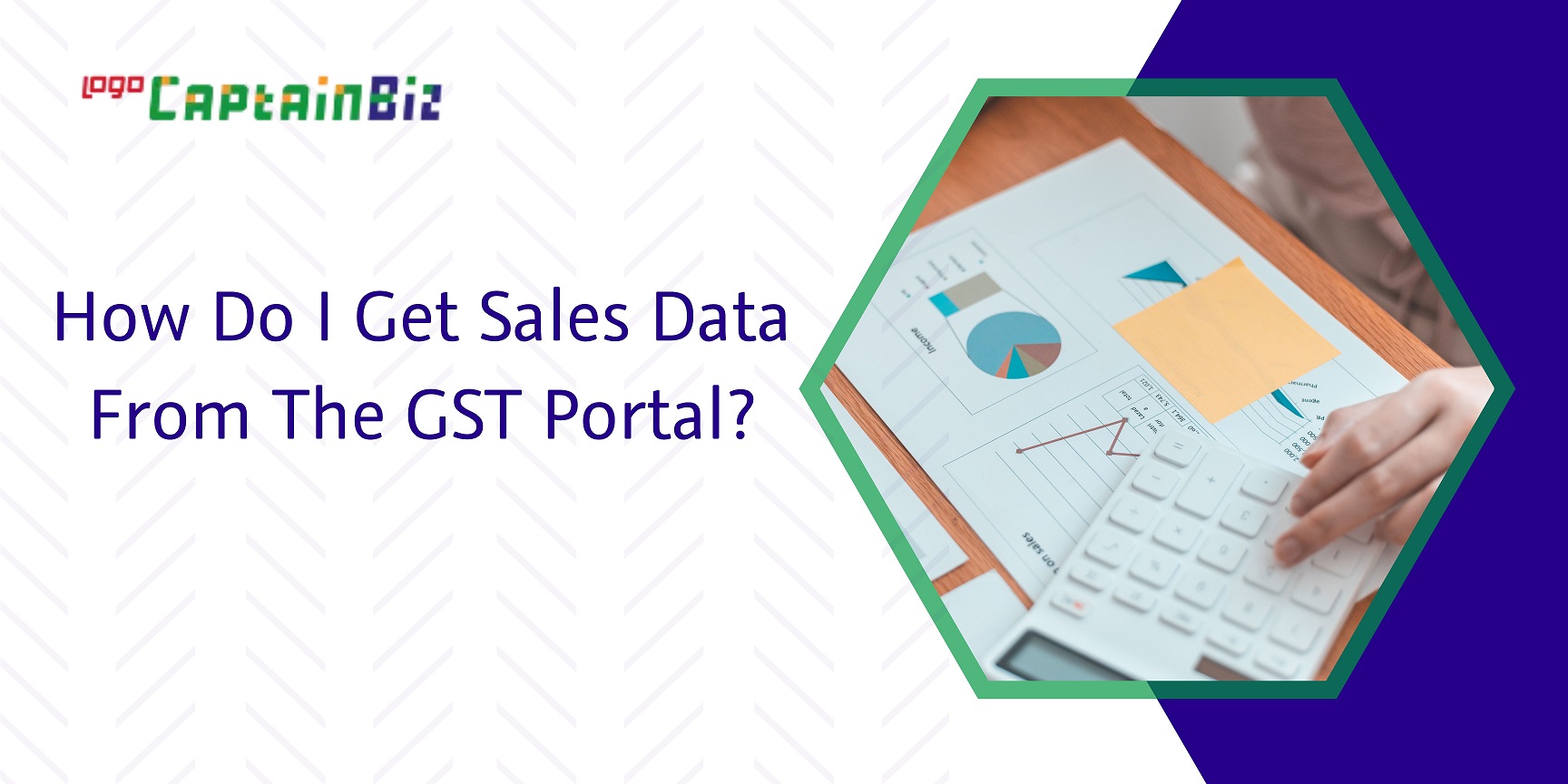 CaptainBiz: how do i get sales data from the gst portal