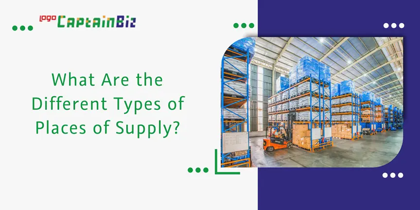 Read more about the article What Are the Different Types of Places of Supply?