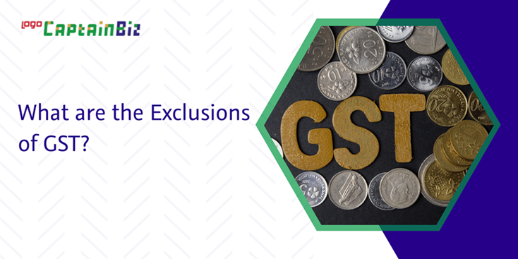 CaptainBiz: what are the exclusions of gst?