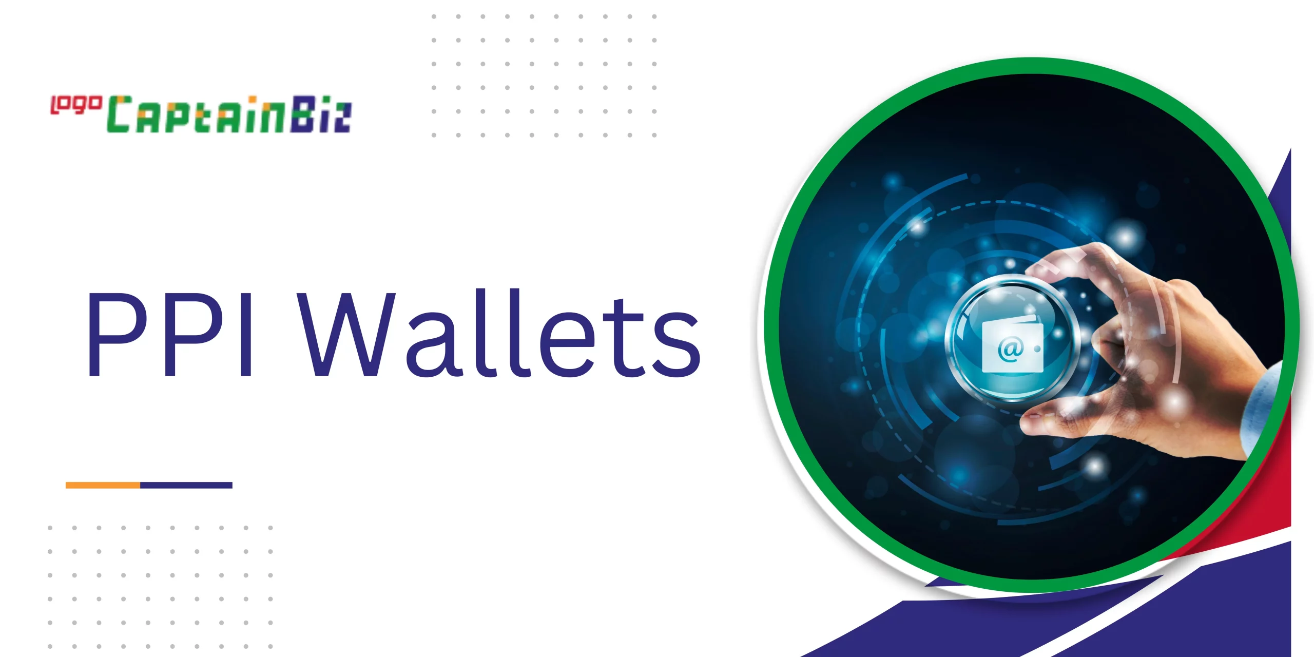 Read more about the article Understanding PPI Wallets